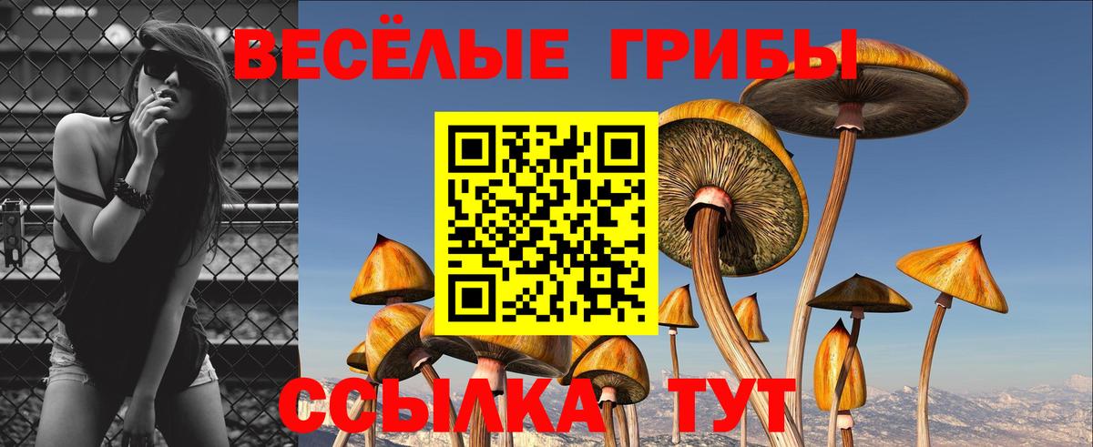 Галлюциногенные грибы Cubensis  купить наркотики цена  Карпинск  Вход с VPN 