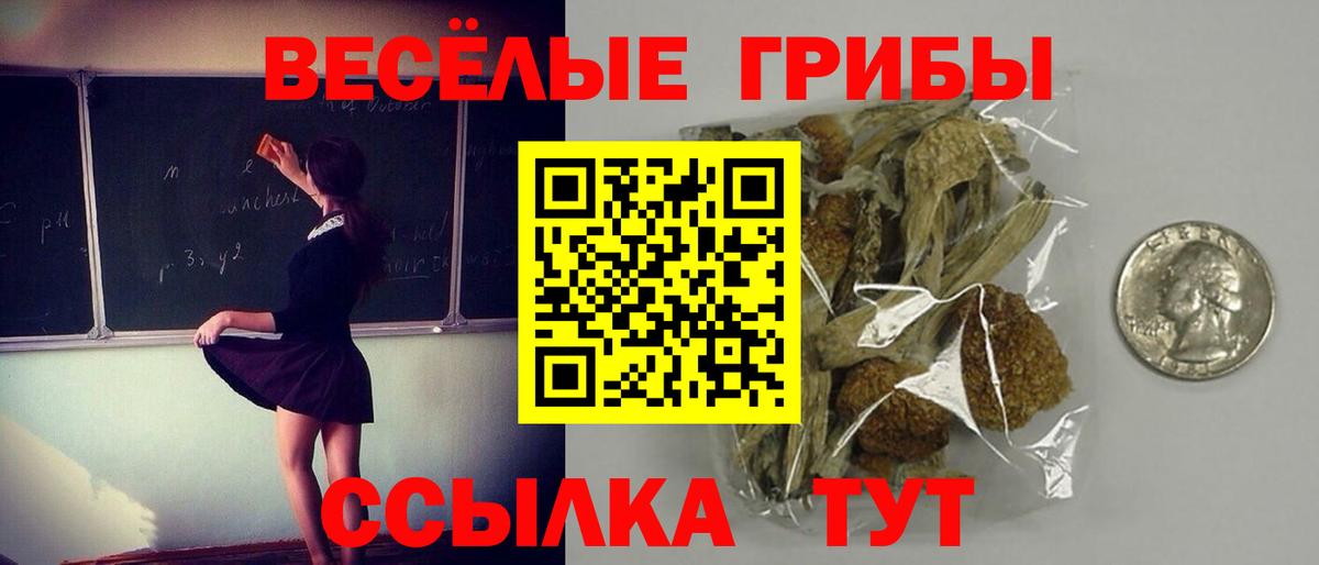 Галлюциногенные грибы мицелий Карпинск